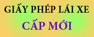 Đổi bằng lái xe