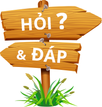 Hỏi đáp